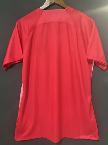 2024  Netherlands Red Special Edition Fans Soccer Jersey