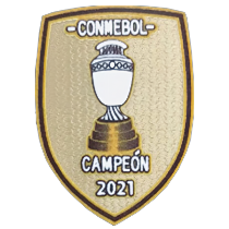 20-21 Argentina Home 1:1 Fans Soccer Jersey