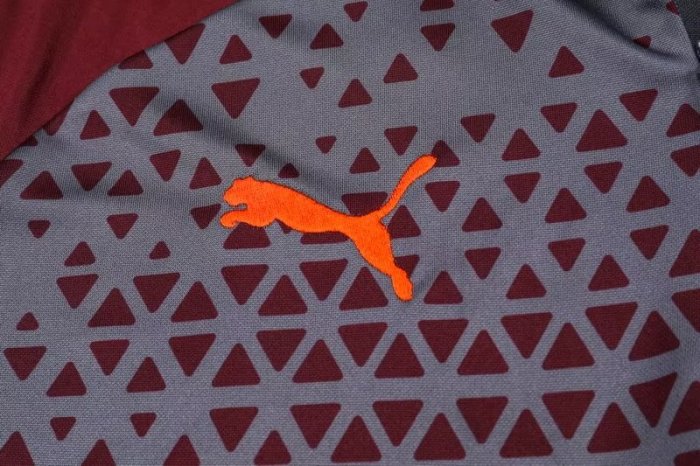 23-24 Manchester City High Quality Half Pull Tracksuit