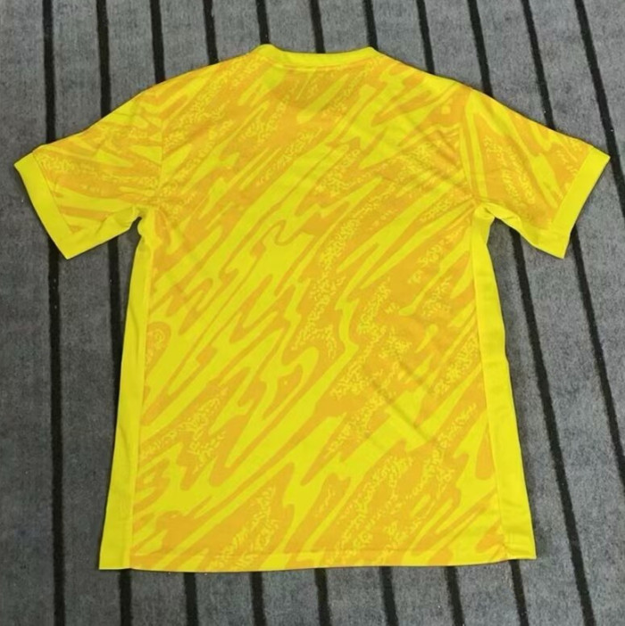 2024 France European Cup Fans Training Soccer Jersey