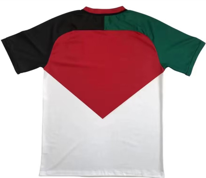 2024 Palestine Fans Version Soccer Jersey