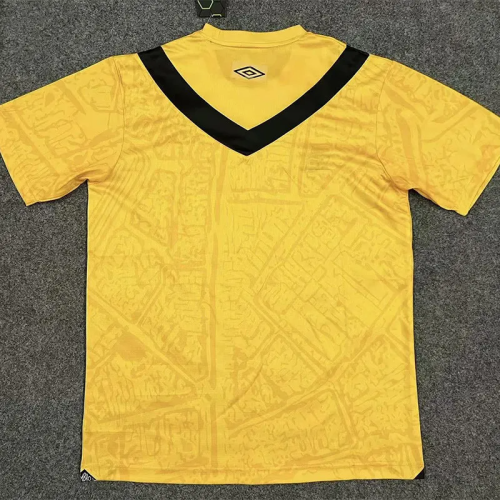 24-25 Santos FC Third Fans Soccer Jersey