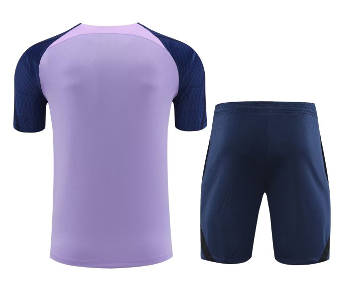 23-24 Tottenham Hotspur High Quality Training Short Suit