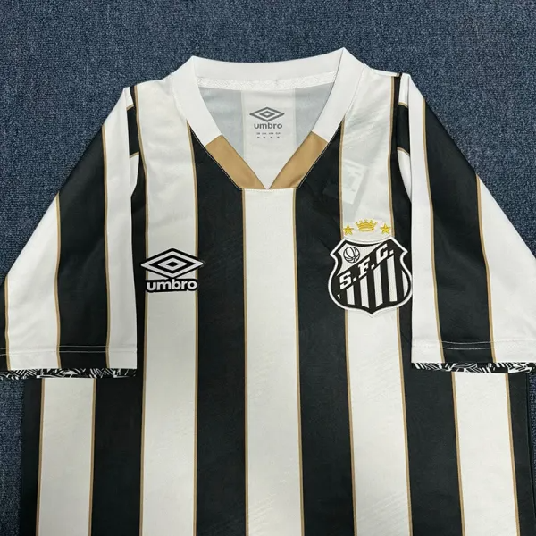 24-25 Santos FC Away Fans Soccer Jersey
