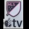MLS /TV (25专用色/粉TV)印左袖