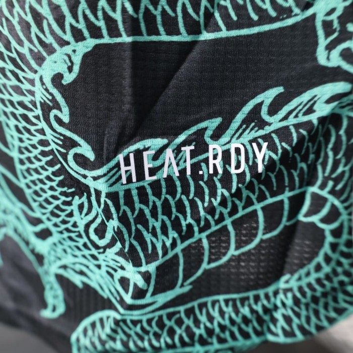 25-26 Algeria Black Green Player Version Training shirts