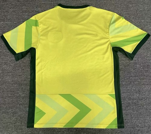 25-26 Australia Home Fans Soccer Jersey