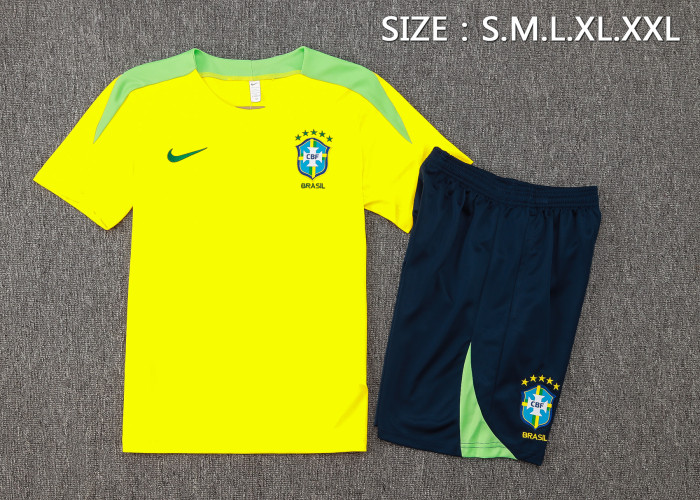 24-25 Brazil High Quality Training Short Suit