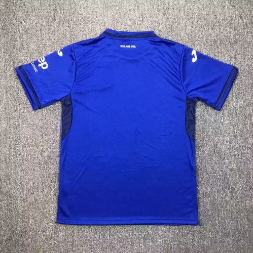 24-25 Hoffenheim Home Fans Soccer Jersey