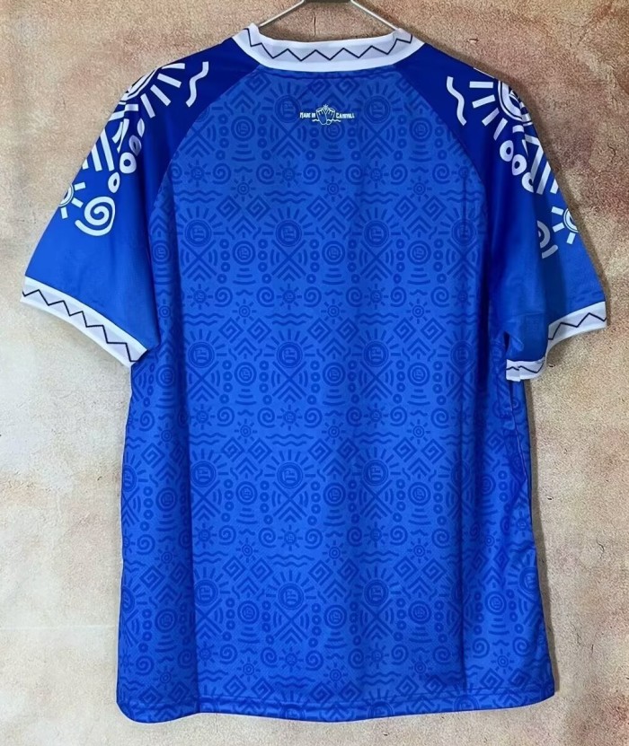 24-25 BaHia Commemorative Edition Fans Soccer Jersey