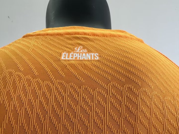 22-23 Cote d'Ivoire 3 stars Player Soccer Jersey