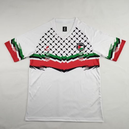 24-25 Palestine Fans Version Soccer Jersey