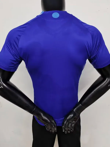 2024 Argentina Away Player Version Soccer Jersey