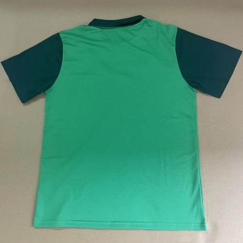 24-25 Palmeiras Green Polo Short Sleeve