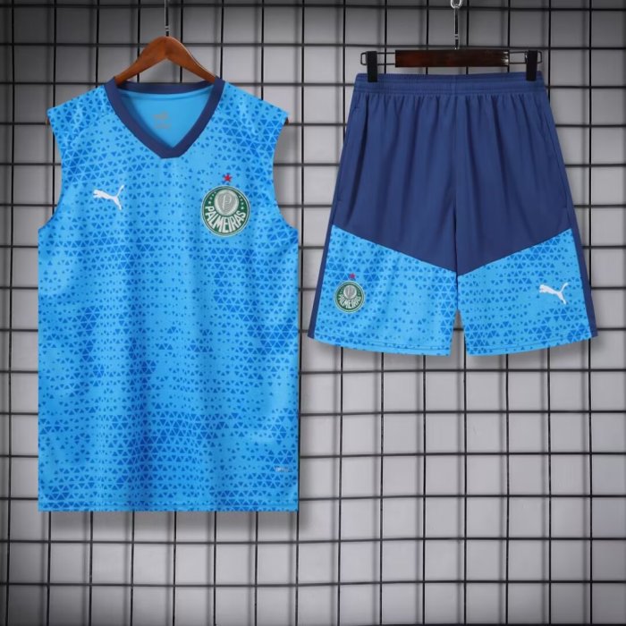 24-25 Palmeiras High quality Tank Top And Shorts Suit