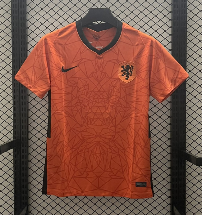 20-21  Netherlands Home Retro Soccer Jersey
