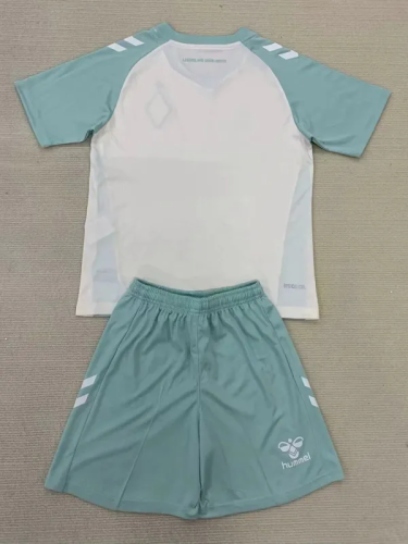 24-25 Werder Bremen Away Adult Suit