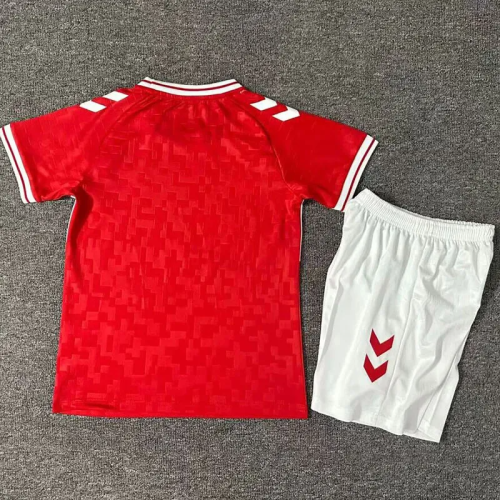 2024 Denmark European Cup Home Kids Soccer Jersey