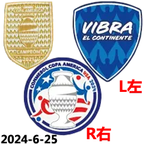 24-25 Argentina 50th Commemorative Edition  Long sleeves Fans Version Soccer Jersey