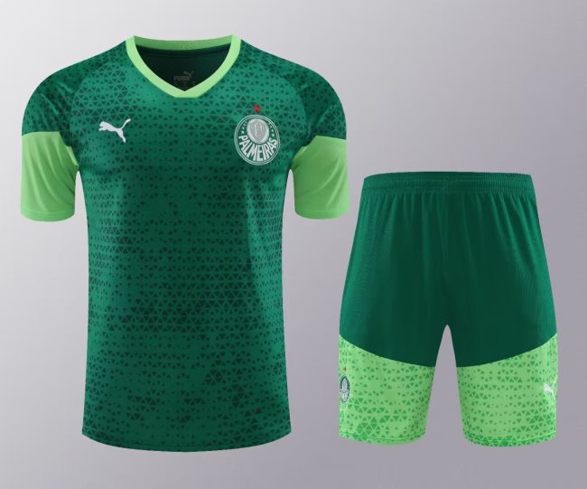 24-25 Palmeiras High Quality Training Short Suit