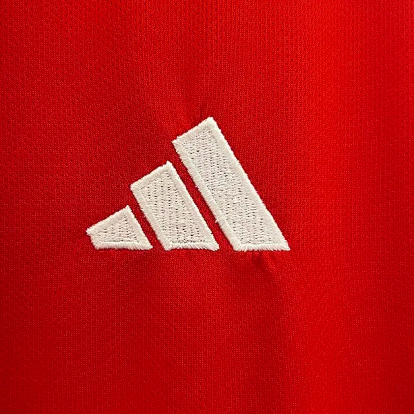 24-25 Colo-Colo Third Fans Soccer Jersey