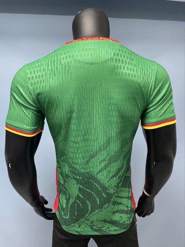 25-26 Cameroon Home Player Soccer Jersey