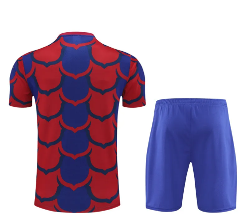 24-25 Barcelona High Quality Training Short Suit