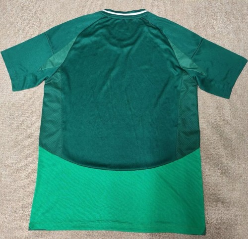 24-25 Al-Ahli Saudi Home Fans Soccer Jersey