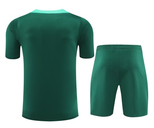 24-25 Portugal High Quality Training Short Suit