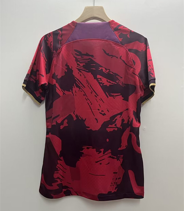 2024 Paris Saint-Germain Special Edition Fans Version Training Shirts