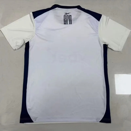 25-26 Botafogo Beige Training shirts