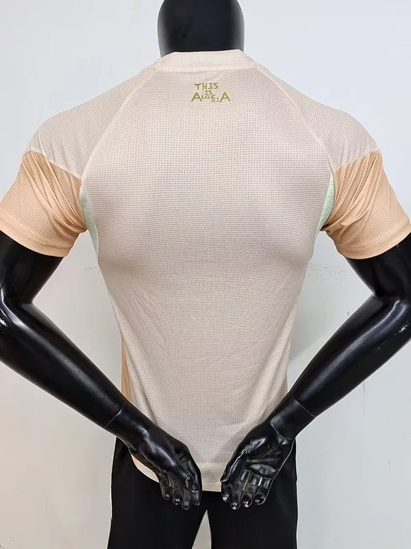 25-26 Algeria Khaki Player Version Training shirts