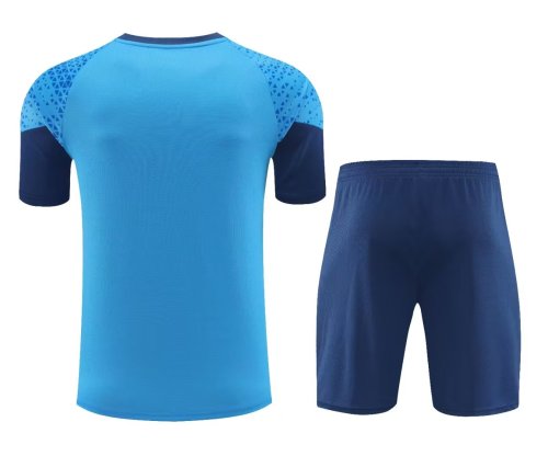 24-25 Palmeiras High Quality Training Short Suit