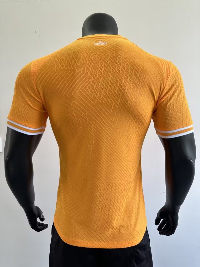 22-23 Cote d'Ivoire 3 stars Player Soccer Jersey