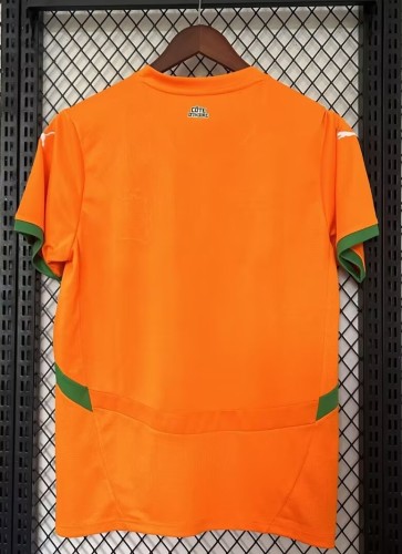 24-25 Cote d'Ivoire Home Fans Soccer Jersey