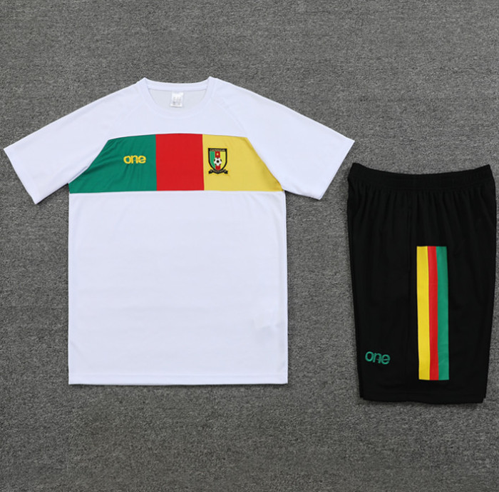 23-24 Cameroon High Quality Training Short Suit