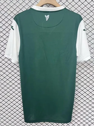 25-26 Hibernian FC Home Fans Soccer Jersey