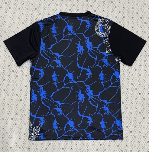25-26 Inter Milan Black Blue Training shirts (蛇)