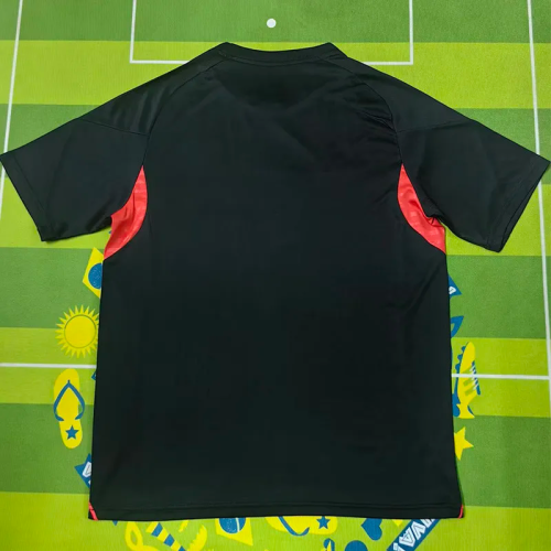 25-26 Benfica Black Training shirts