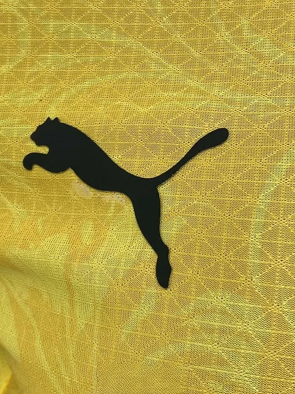 25-26 Dortmund Yellow Special Edition Player Version Soccer Jersey 1:1 Thai Quality