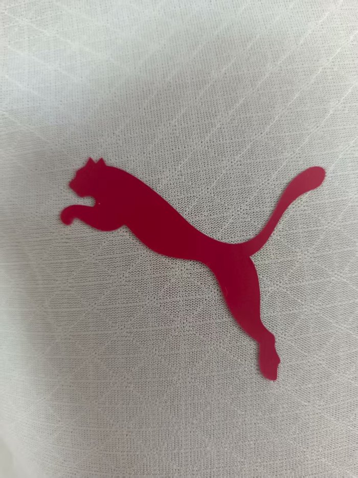 25-26 Galatasaray Away Player Version Soccer Jersey (五星)