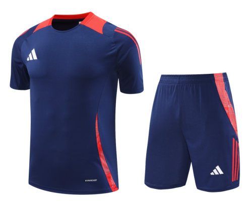 2024 AD Royal blue Training Short Suit
