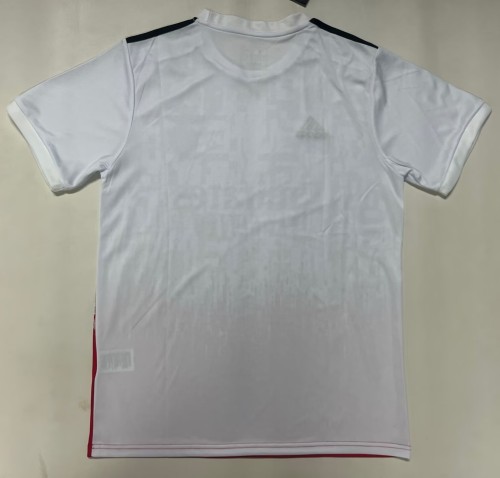 25-26 Benfica Special Edition Fans Soccer Jersey 1:1 Thai Quality