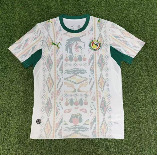 25-26 Senegal Home Fans Soccer Jersey