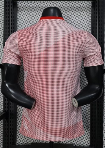 2026 Canada World Cup Culture Promotion Player Version Training shirts