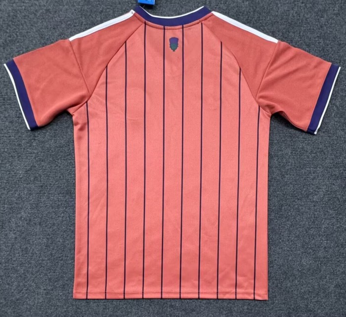 25-26 Scotland Special Edition Fans Soccer Jersey