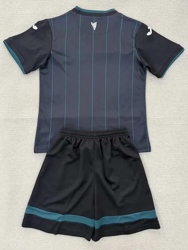 25-26 Hibernian FC Third Adult Suit