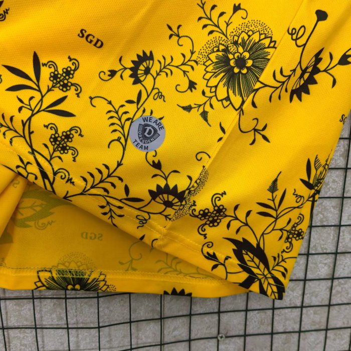 25-26 Dynamo Dresden Special Edition Fans Soccer Jersey