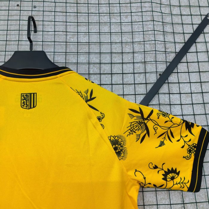 25-26 Dynamo Dresden Special Edition Fans Soccer Jersey