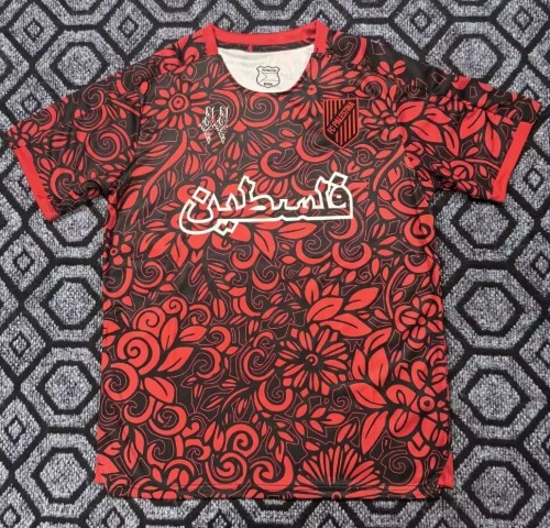 25-26 Palestine Special Edition Fans Soccer Jersey